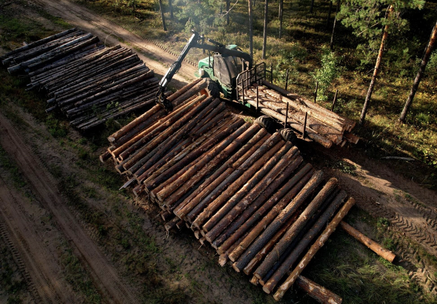 Progetto Fuoco conferma la sua leadership nell’innovazione della filiera legno-energia